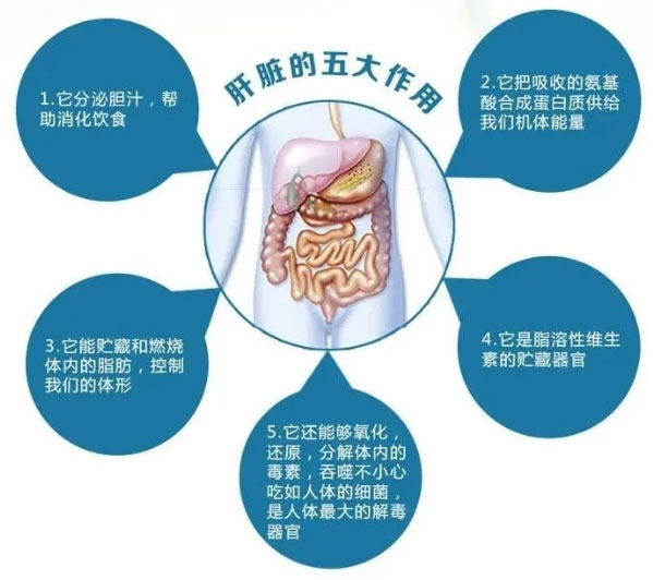 未标题-12.jpg